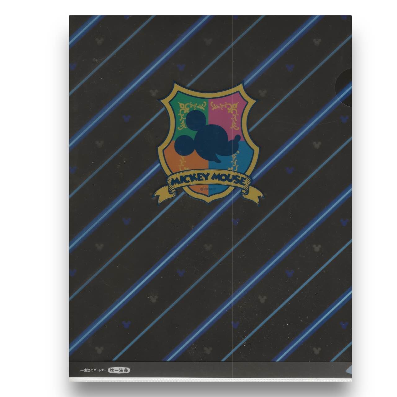 Y2K Disney Characters File Folder
