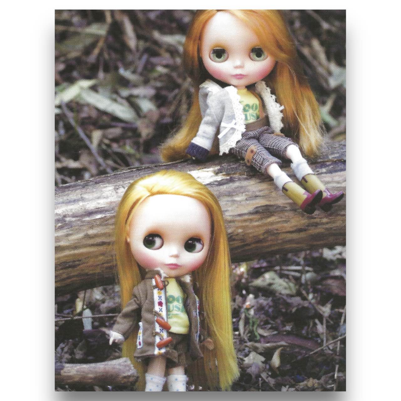 2010 Blythe Doll Art Post Card