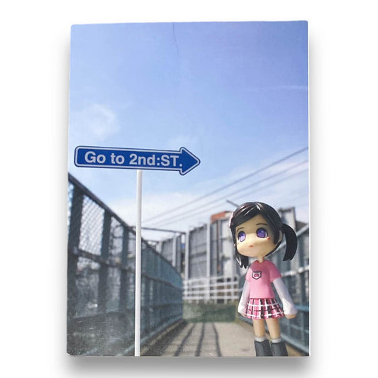 2004 Pinky St Collectors Book