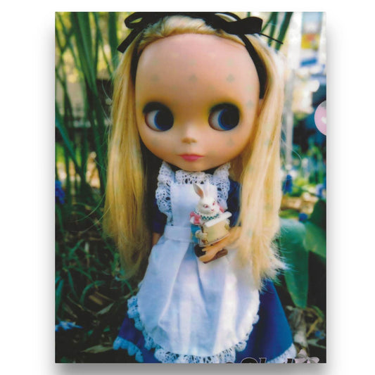 2010s Blythe Doll File Folder